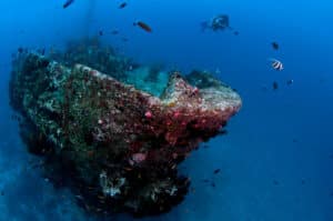 Maldive Victory Wreck Front Outside View Kaafu Atoll