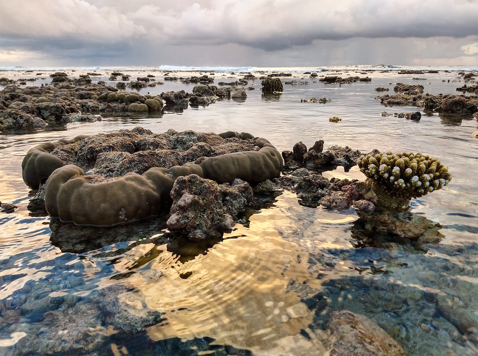 Smartphone housing for underwater photography